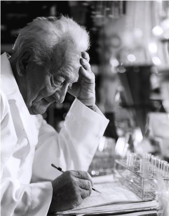Albert Szent Gyorgyi